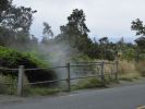 Steam Vents